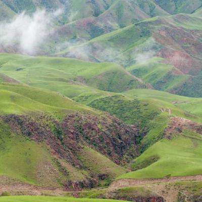 全力打好“三北”工程东部片区歼灭战筑牢北疆绿色长城和生态安全屏障